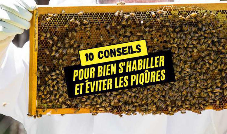 10 conseils pour bien s'habiller et éviter les piqûres d'abeilles !