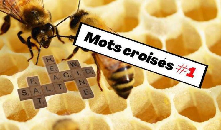 Mots croisés #1