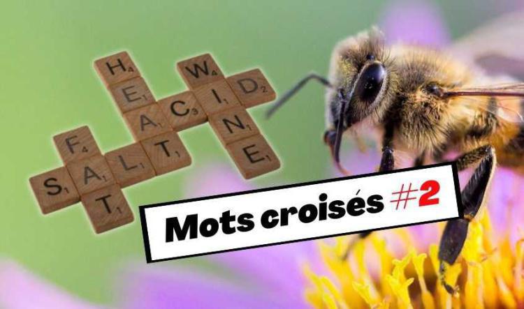 Mots croisés #2