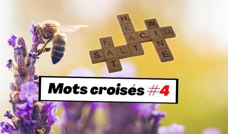 Mots croisés #4