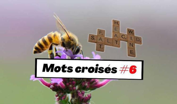 Mots croisés #6