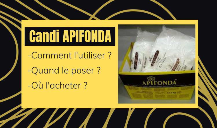 Apifonda : Comment nourrir ses abeilles avec et où l'acheter ?