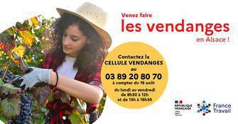 ALSACE VENDANGES -RECRUTEMENT