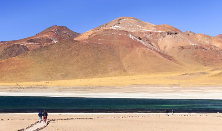 Una variedad de contraste en el Desierto de Atacama