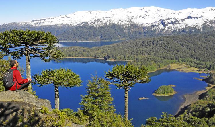 Un recorrido por los diferentes lagos de Chile