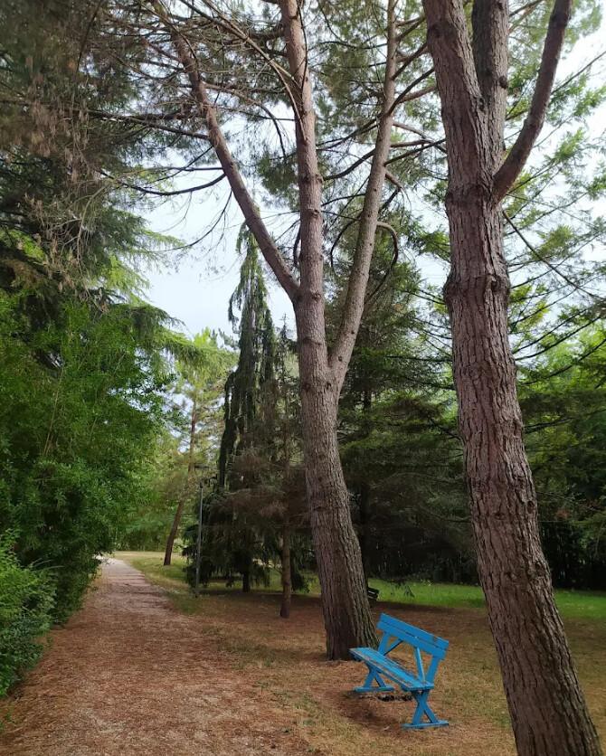Bosco Didattico Ponte Felcino