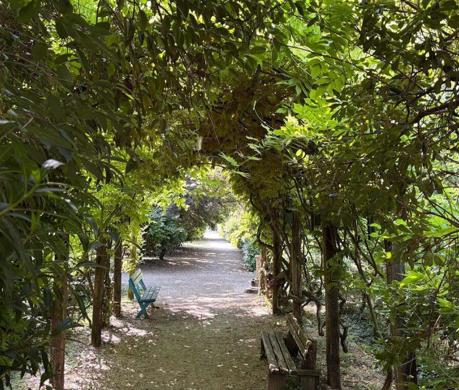 Bosco Didattico Ponte Felcino