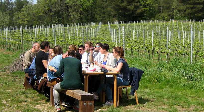 Strada dei Vini del Cantico Strada dei Vini del Cantico