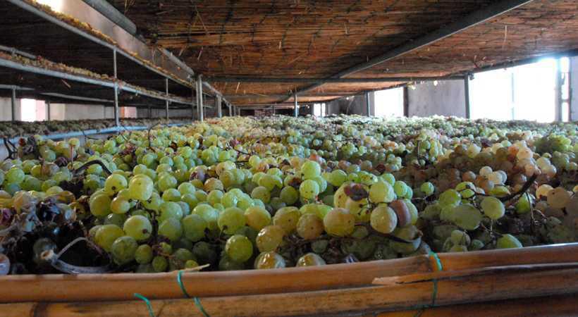 Strada dei Vini del Trasimeno Strada dei Vini del Trasimeno