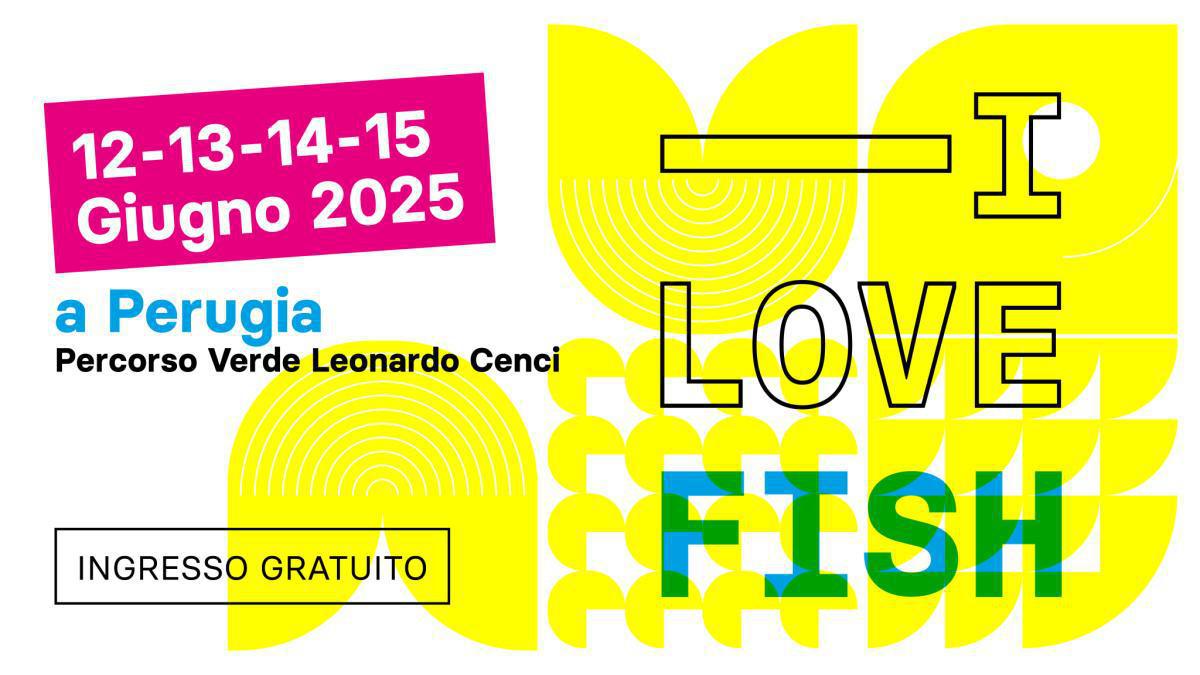 I love Fish I love Fish