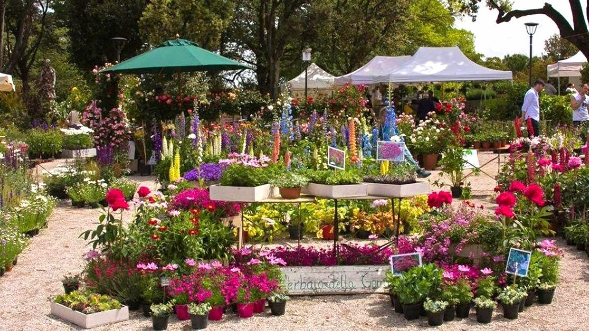 Perugia Flower Show