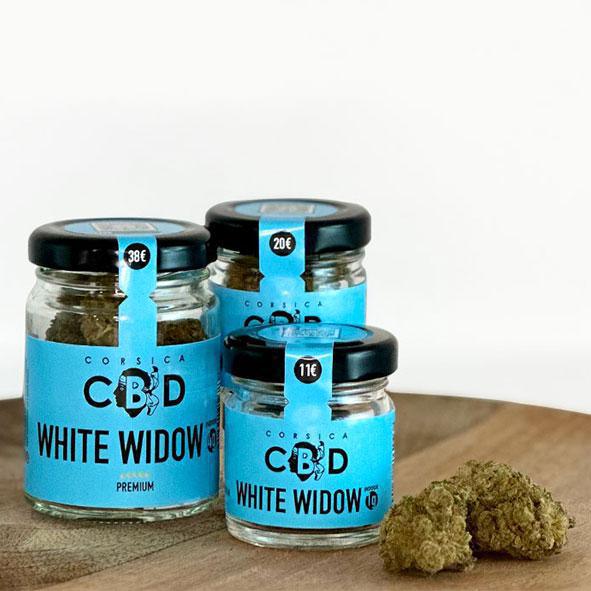 Corsica CBD Corsica CBD