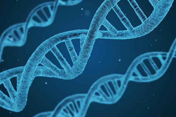 The DNA of Unfaithfulness