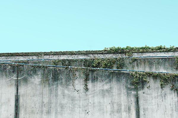 Lying Creates a Wall