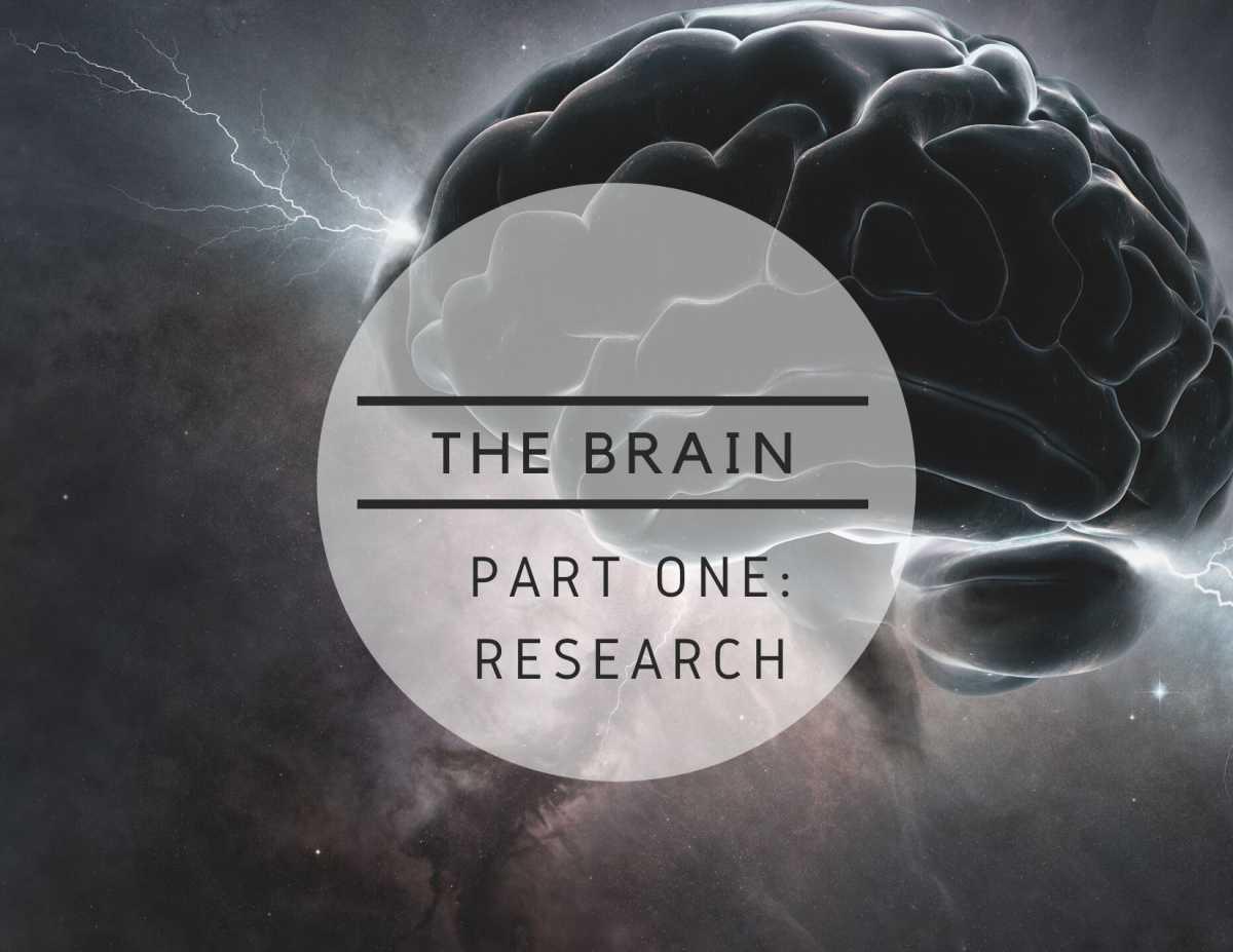 The Brain: Part One - Research