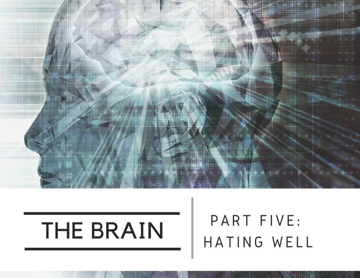 The Brain Series: Part Five - Hating Well