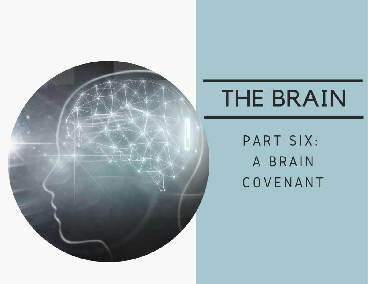The Brain Series - Part Six: A Brain Covenant