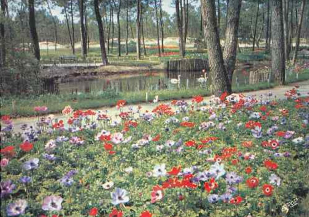 Un peu d'Histoire Un peu d'Histoire