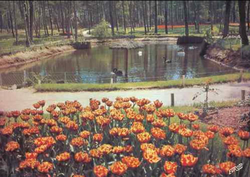 Un peu d'Histoire Un peu d'Histoire