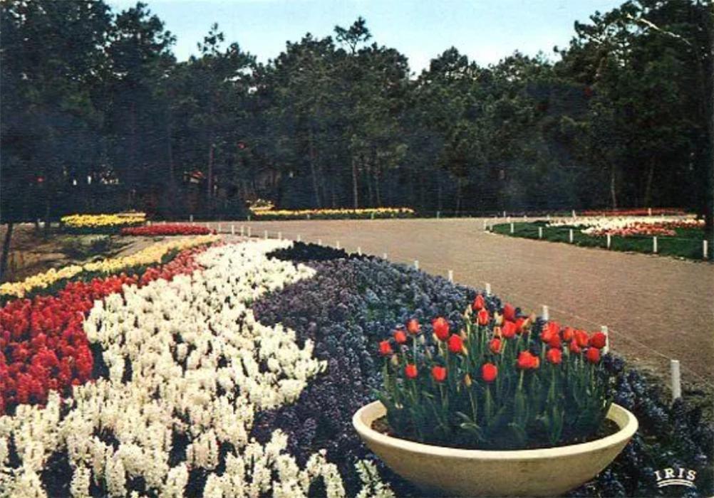 Un peu d'Histoire Un peu d'Histoire