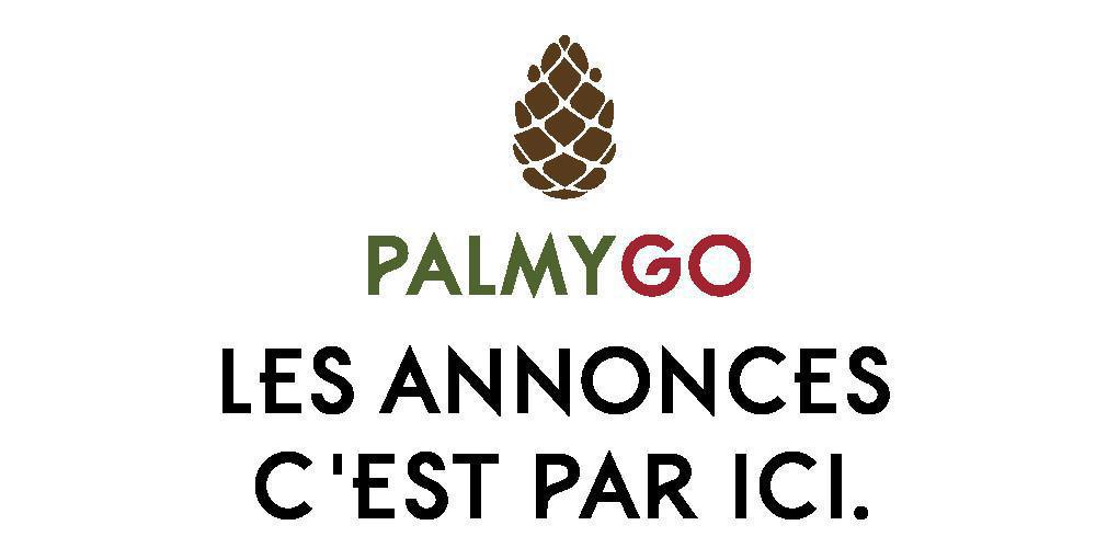Nouveau dans Palmygo : publiez vos annonces ! Nouveau dans Palmygo : publiez vos annonces !