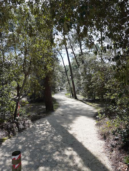 Des photos des aménagements réalisés cet hiver. Des photos des aménagements réalisés cet hiver.