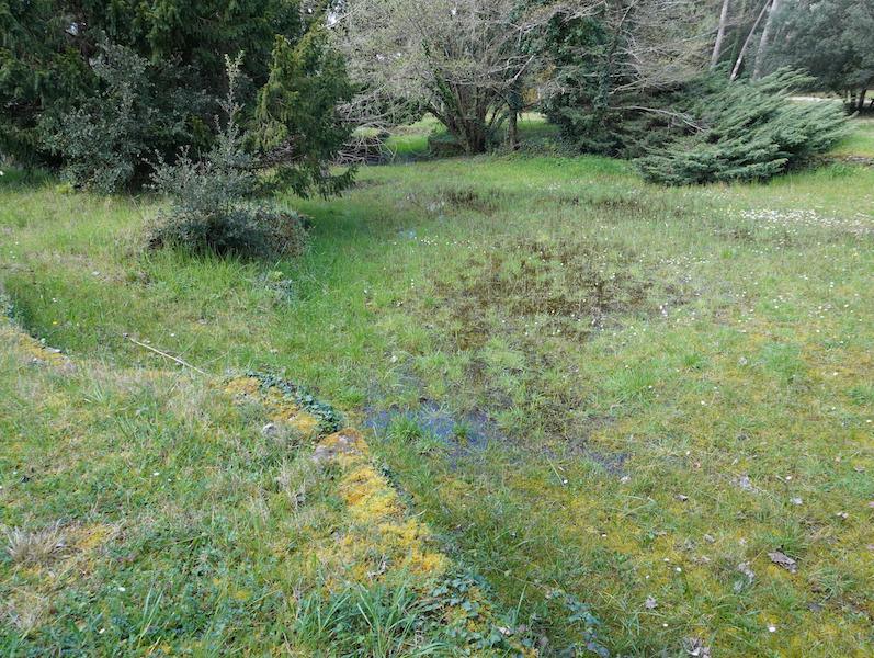 Quelques images de l'ancien lac. Quelques images de l'ancien lac.