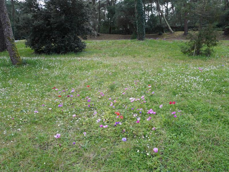 Quelques images de l'ancien lac. Quelques images de l'ancien lac.