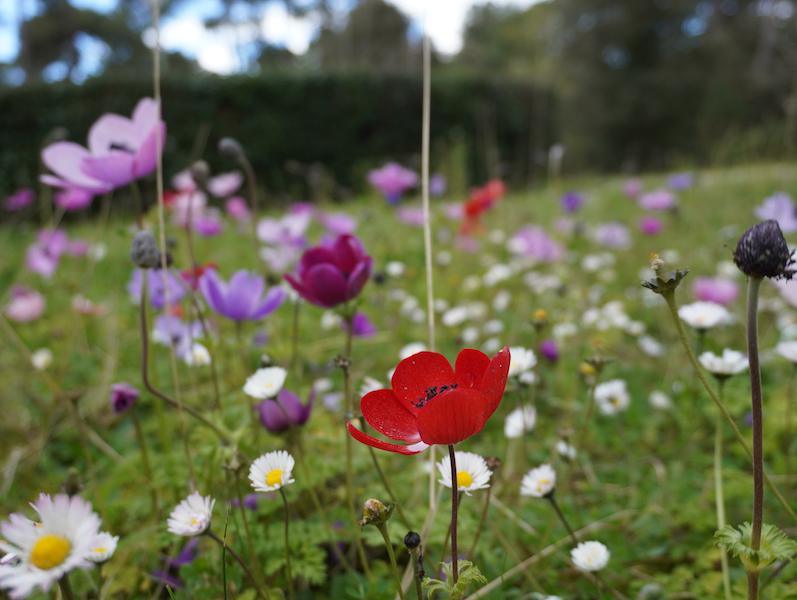 Quelques images de l'ancien lac. Quelques images de l'ancien lac.