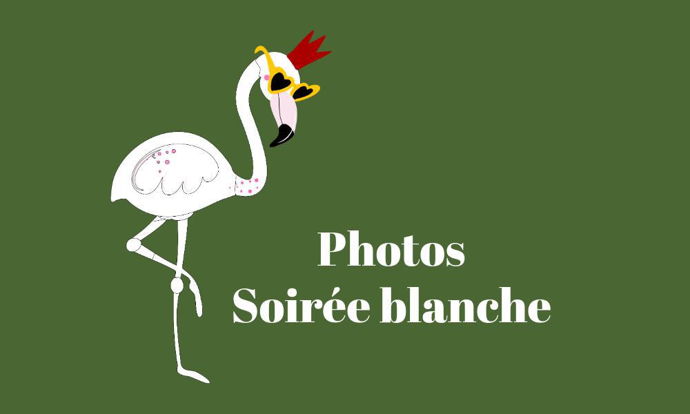 Les photos de la Soirée Blanche sont dans Palmygo !