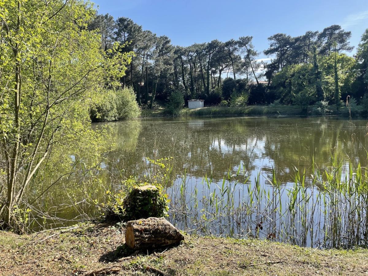 Le Lac des Saules en photos