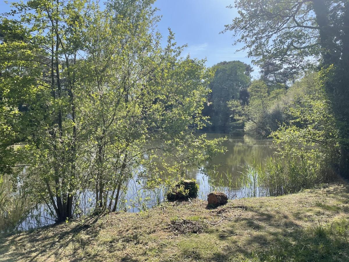Le Lac des Saules en photos