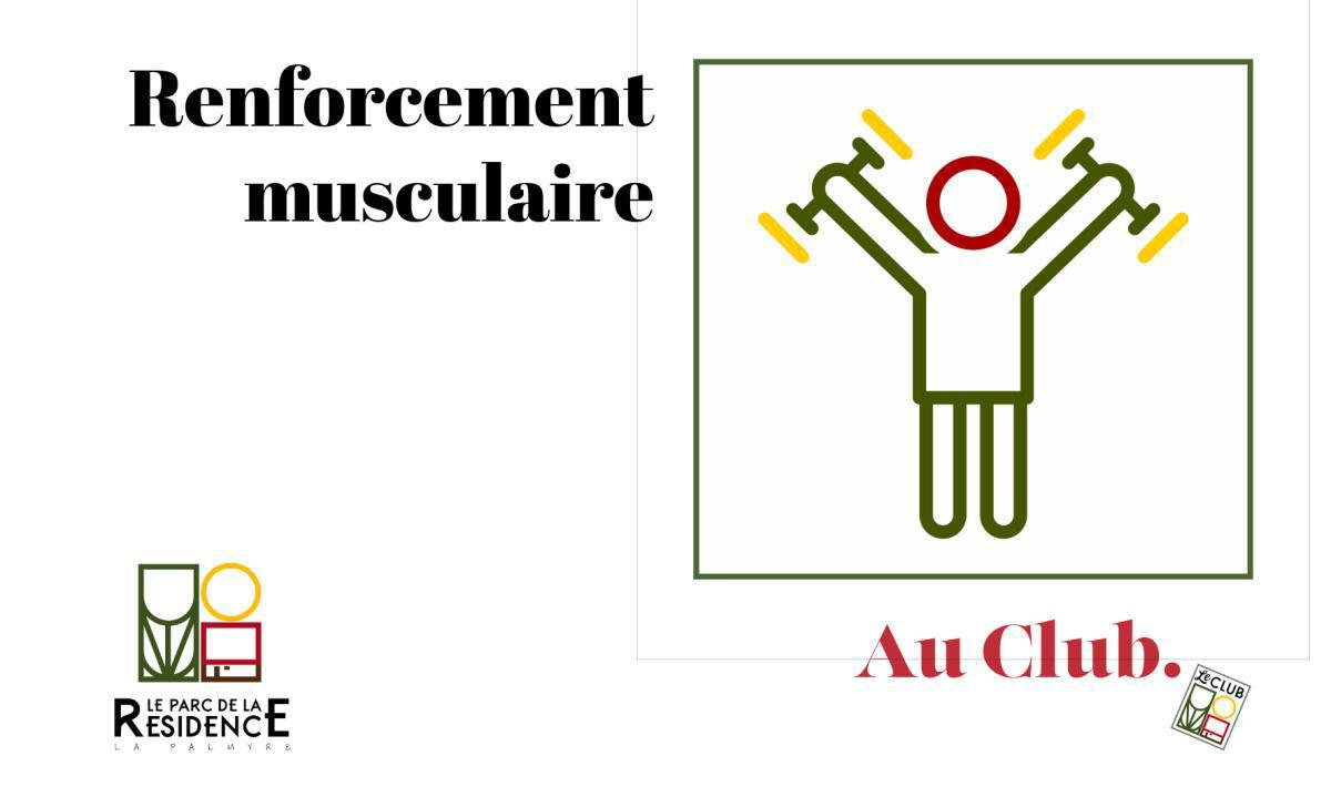 Renforcement musculaire