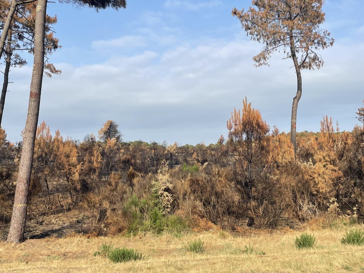 Formation Incendie dans la Résidence