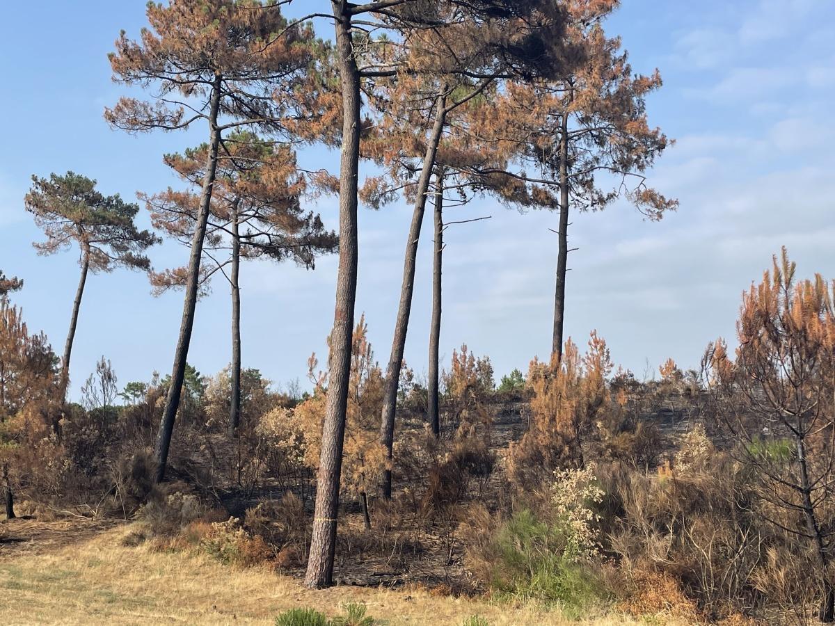 Formation Incendie dans la Résidence