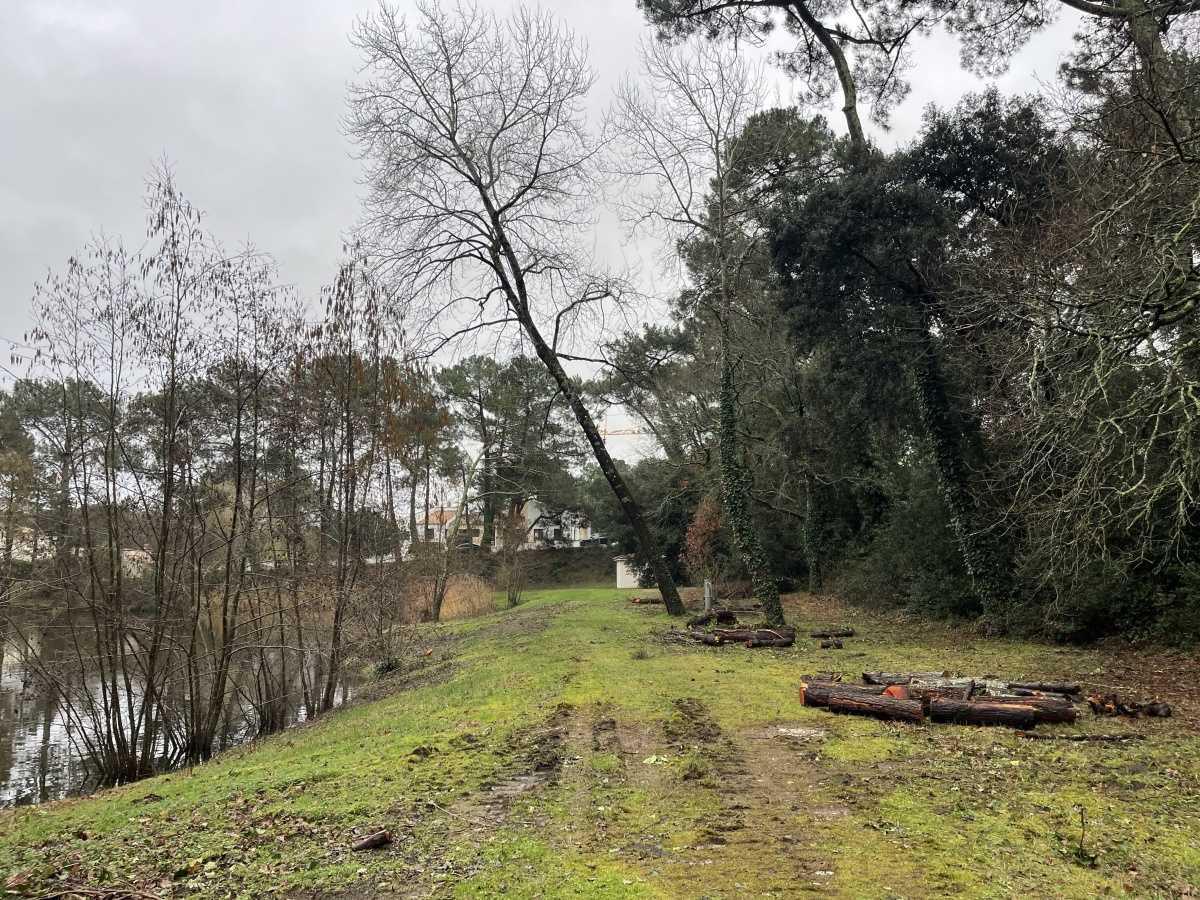 Notre lac fait peau neuve