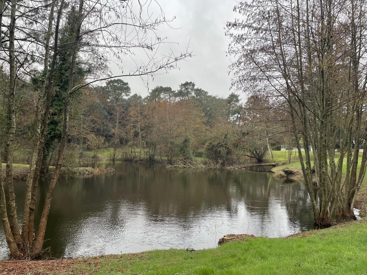 Notre lac fait peau neuve