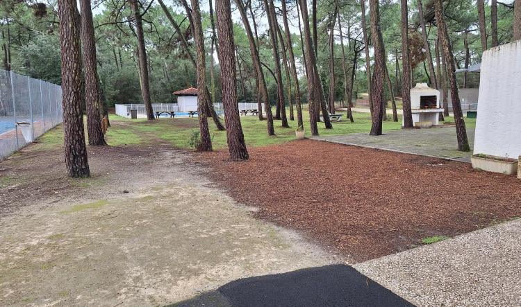 Pendant l'hiver, on bichonne les abords du Club.