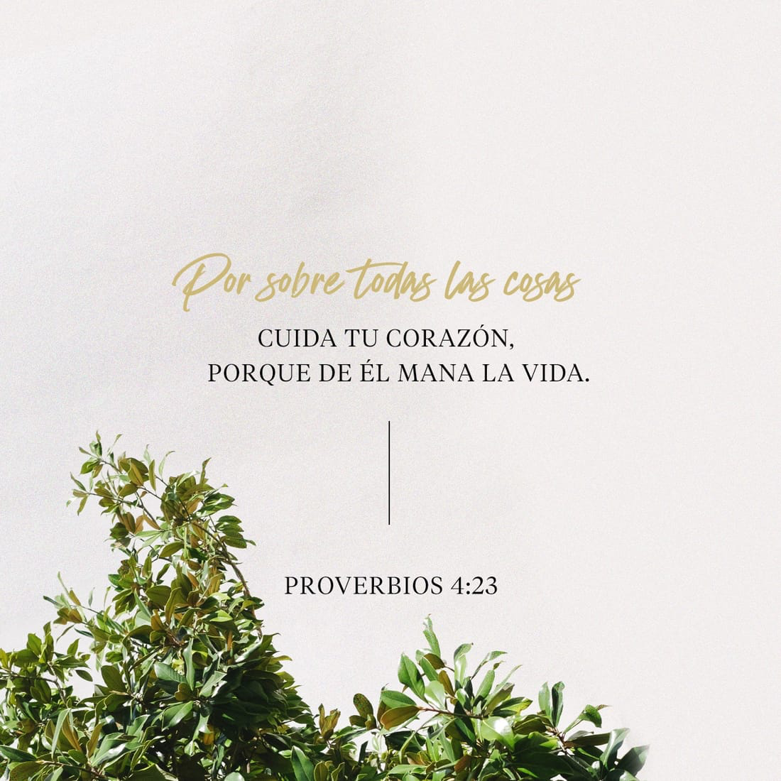 save-image