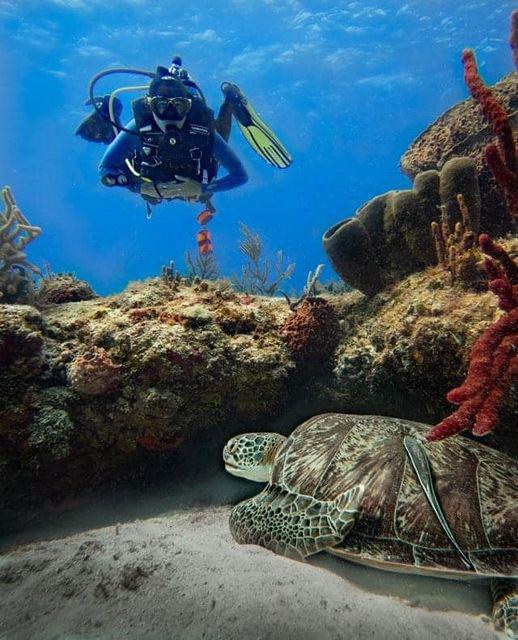 Zanzibar Water Sports Zanzibar Water Sports