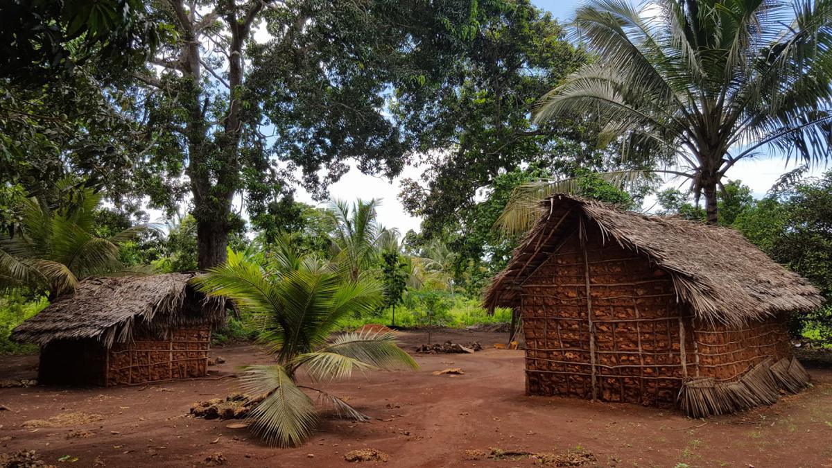 Zanzibar Quad Safari ▶️ $130 Zanzibar Quad Safari ▶️ $130