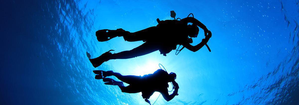 Zanzibar Divers Zanzibar Divers