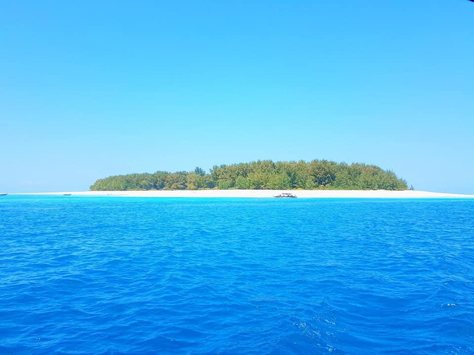 Divine Diving: Nungwi Divine Diving: Nungwi