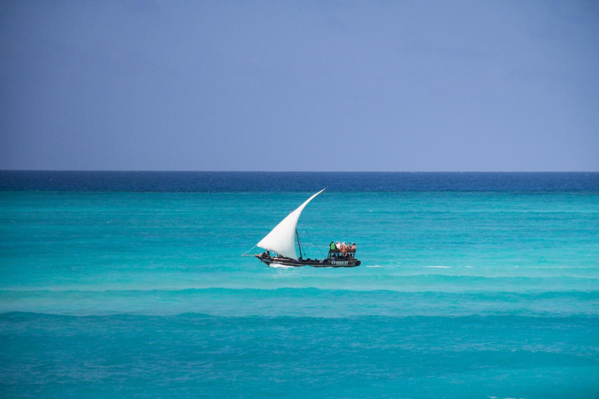 Divine Diving: Nungwi Divine Diving: Nungwi