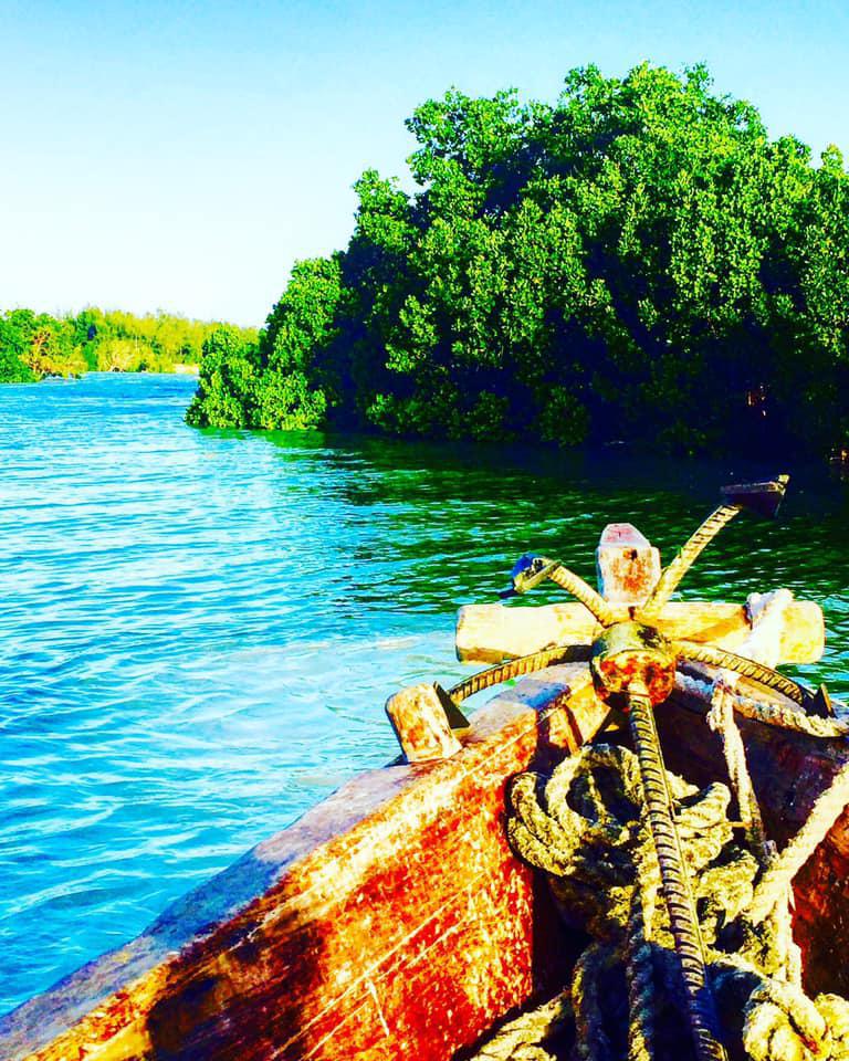 Rising Sun Diving Centre Rising Sun Diving Centre