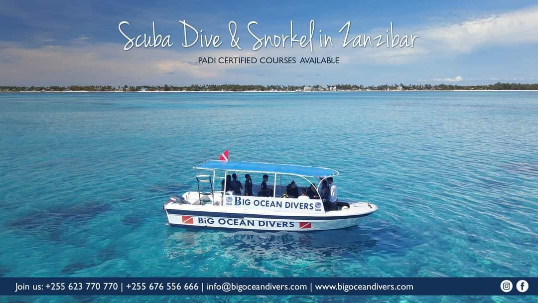 Big Ocean Divers Big Ocean Divers