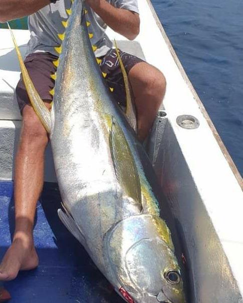 Zanzibar Big Game Fishing Zanzibar Big Game Fishing