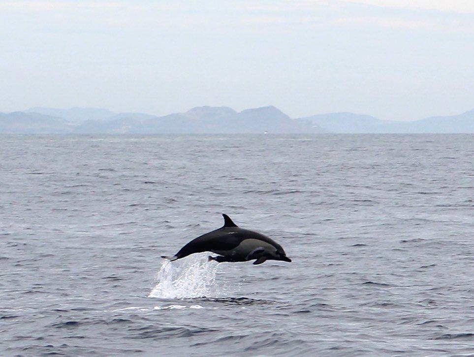 Scuba Caribe - Diving & Water Sports Scuba Caribe - Diving & Water Sports