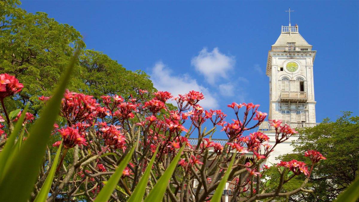 Rafiki Tours & Travel Rafiki Tours & Travel