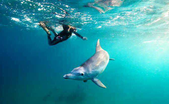 Rafiki Tours & Travel Rafiki Tours & Travel